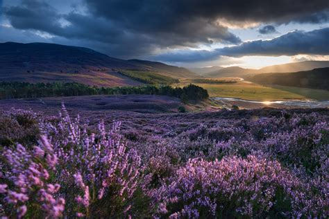 The essential guide to visiting Scotland