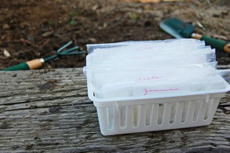 Easy Garden DIY: Make Your Own Seed Tape