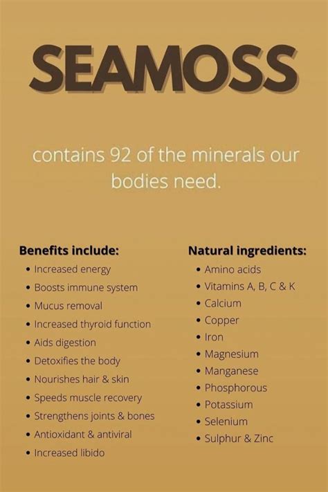 Sea Moss Benefits. Natural Multivitamins and Minerals in 2023 | Natural multivitamin, How to ...