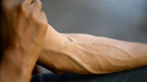 how to get veins to show | get vascular arms in less than 10 days - YouTube