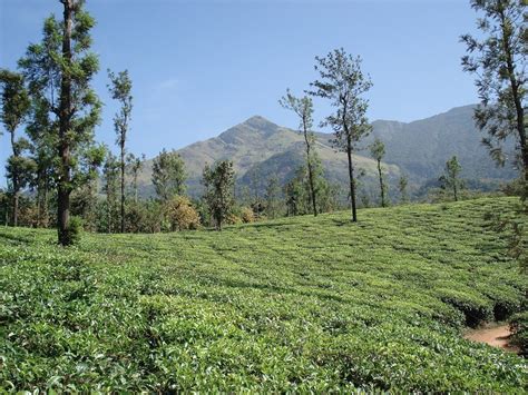 Wayanad is a rural district situated in Kerala known for its soothing ...