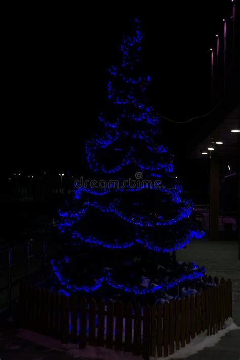 Snow Covered Christmas Tree with Multi Colored Lights at Night Stock ...