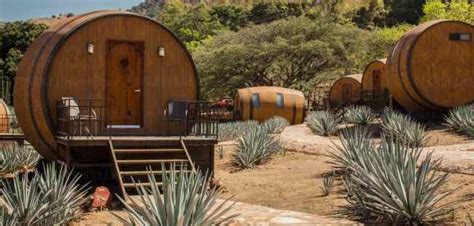 Tequila Trail Tour Tequila Jalisco Mexico | PANORAMEX