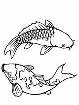 Koi Fish Coloring Pages  Free Printable For Kids sketch template