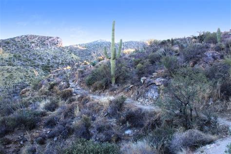 10 Best Hiking Trails In Saguaro National Park (With Maps!) » Parked In ...