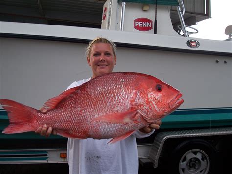 red-snapper-fishing - North Carolina Fishing Spots