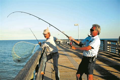 City of Dania Beach, Florida - Official Web Site | Official Website