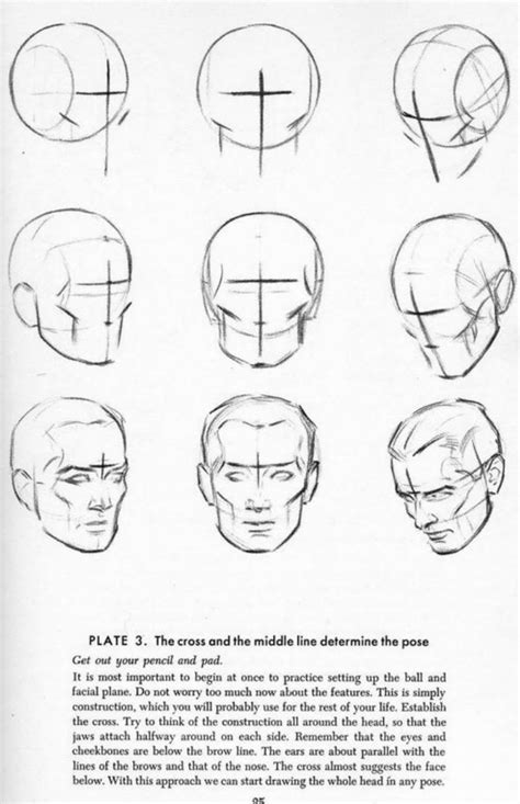 Loomis Method Step By Step at Drawing Tutorials