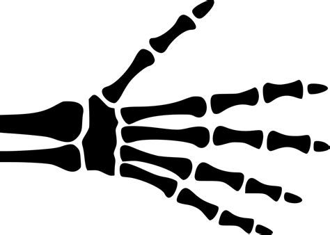 Download Hand Skeleton Comments - Free Skeleton Hand Svg Clipart ...