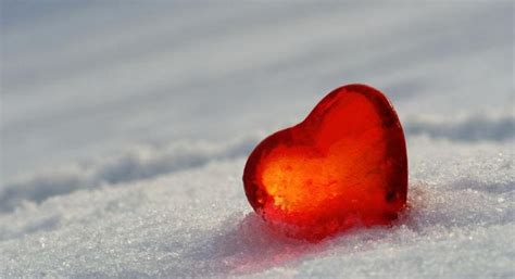 Unveiling the Emotions Behind ‘Heart on Ice’ Lyrics | by Gitanopercy | Oct, 2023 | Medium