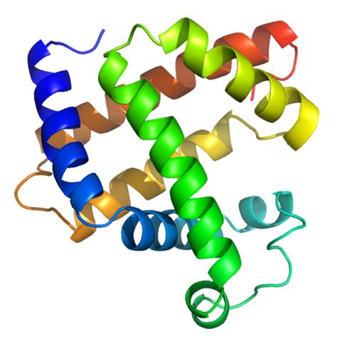 Myoglobinuria - wikidoc