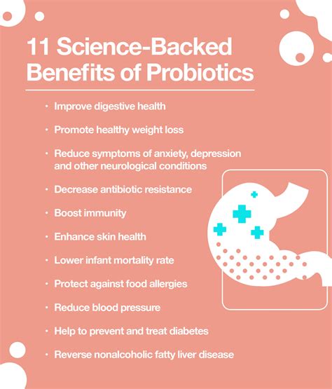 6 Common Questions About Probiotics, Answered – The Amino Company