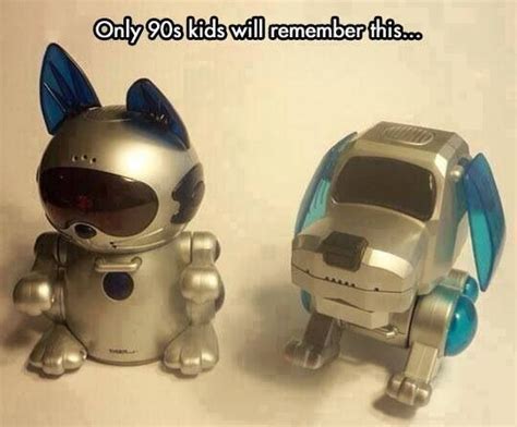 Robot Dog and Cat Toy: YES! I had a purple dog and both the cat and dog ...