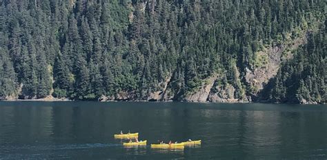 Resurrection Bay Kayaking Tour - GoNorth Alaska