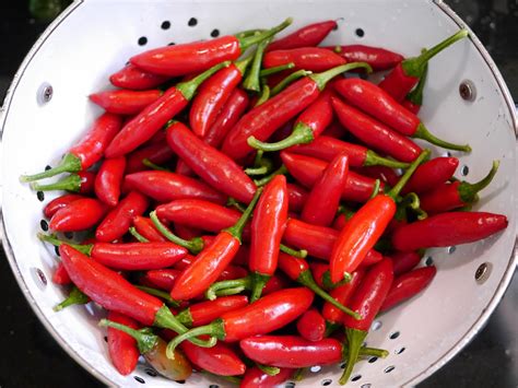 Foods For Long Life: Dehydrating Serrano (Hidalgo) Peppers