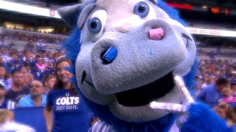 Indianapolis Colts mascot offering Father’s Day deliveries | WTTV CBS4Indy