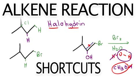 Alkene Reaction Shortcuts and Products Overview by Leah Fisch - YouTube