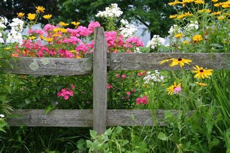 Pin by My Info on gardens | Flowers perennials, Best perennials, Rustic ...