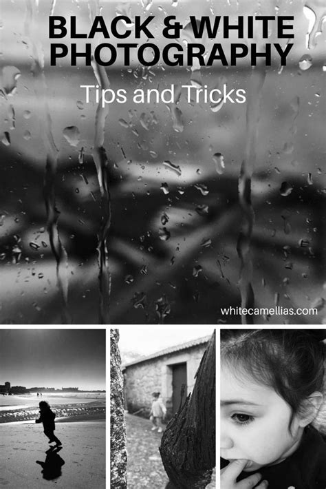 Black & White Photography Tips and Tricks #TipsandTricksforBlackandWhitePhotography #blackan ...