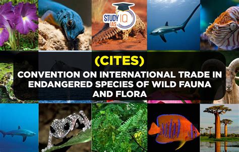 Convention on International Trade in Endangered Species of Wild Fauna ...