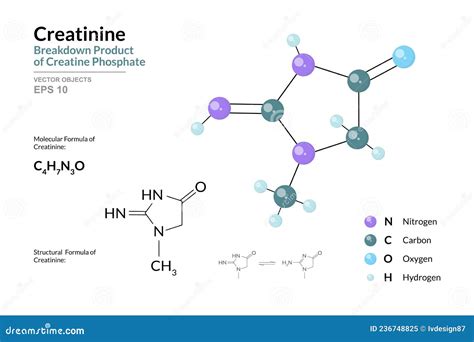 Creatinine. Breakdown Product of Creatine Phosphate. Structural Chemical Formula and Molecule 3d ...