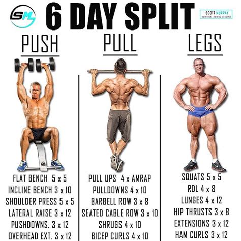 Push/Pull/Legs Split: 3-6 Day Weight Training Workout Schedule and Plan ...