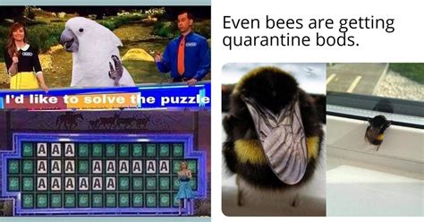 It's Time We Had A Talk About The Birds And The Bees Memes (22 Pics)