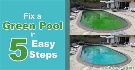 Fix a Green Pool In 5 Easy Steps | Get Rid of Pool Algae