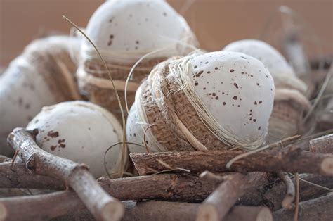 Free Images : decoration, food, egg, twig, deco, close up, coconut, nest, easter eggs, natural ...
