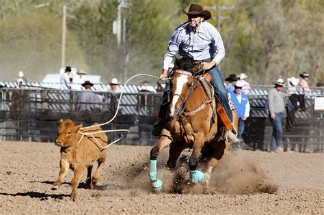 Ultimate Calf Roping - Visit Decatur Texas