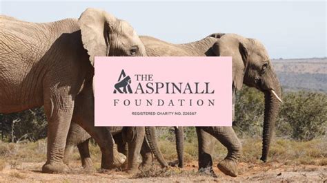 Aspinall Foundation: Our Official Charity Partner