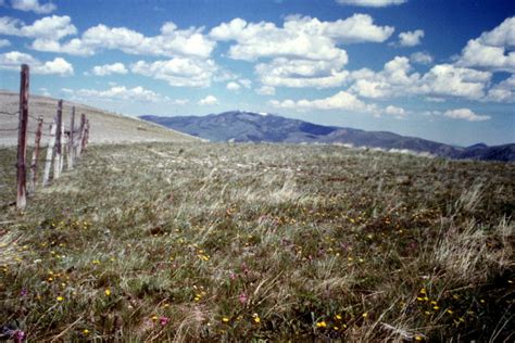 Baldy Mountain - IDAHO: A Climbing Guide