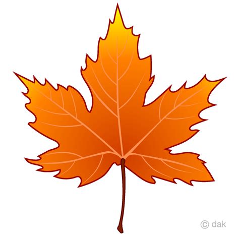 clipart maple leaf 20 free Cliparts | Download images on Clipground 2024