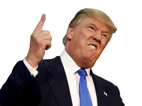 Donald Trump Png : Donald Trump PNG | HD Donald Trump PNG Image Free Download - Mallyn Trentino