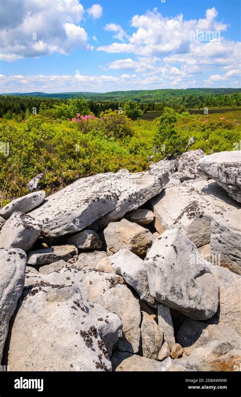 Bear Rocks Preserve Stock Photo - Alamy