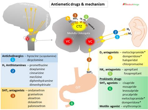 Antiemetics: classification, mechanism and uses/ etiology-based drug ...