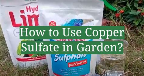 4 Steps to Use Copper Sulfate in Garden - GardenProfy