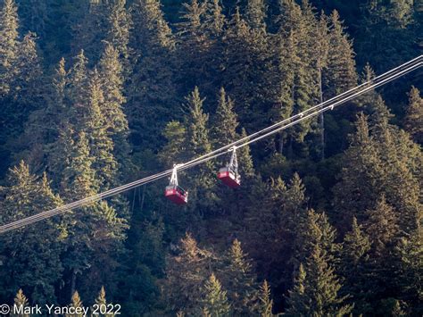 Juneau Tram and Around Town - Mark Yancey Photo