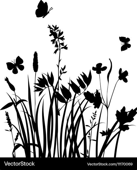 Silhouettes flowers and grass Royalty Free Vector Image