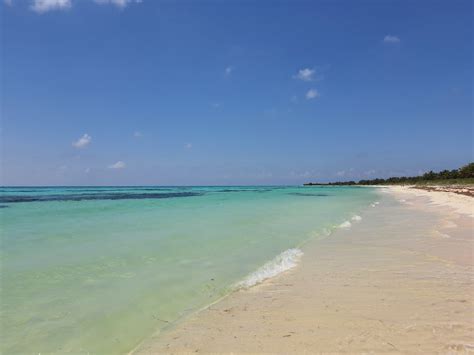 Visiting Cozumel? Don't miss the natural wonders of Punta Sur Park