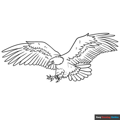 Flying Eagle Colour Drawing