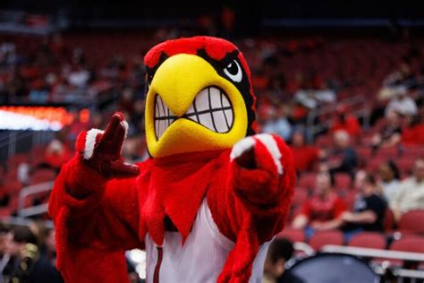 Ten UofL programs record perfect Academic Progress Rate score for 2021 ...