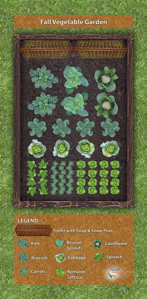 Vegetable Gardening | Fall garden vegetables, Vegetable garden planner ...