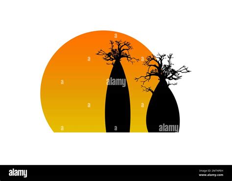 Silhouette of boab trees Stock Vector Images - Alamy