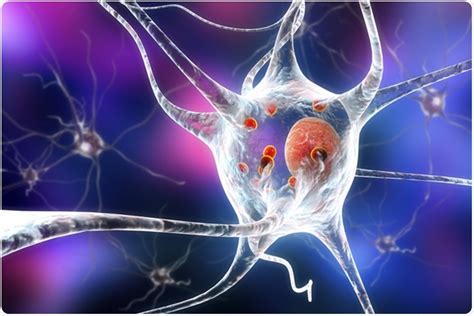 Occupational Therapy for Parkinson’s Disease