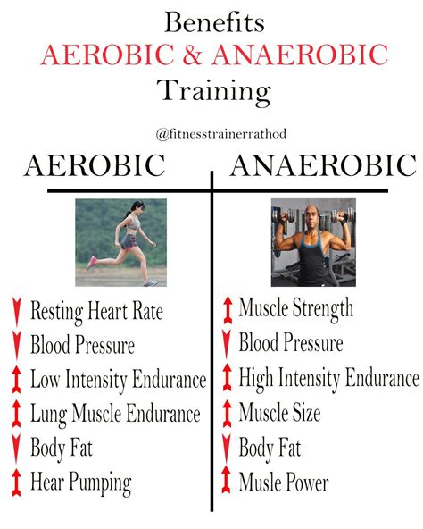 Aerobic and Anaerobic Training | Aerobics, Aerobic exercise, Fitness ...