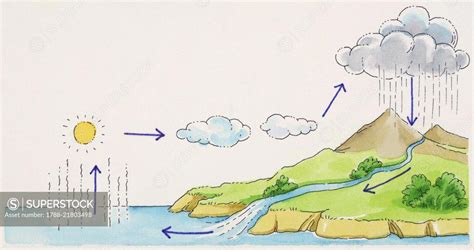 Water cycle diagram (evaporation, condensation, precipitation, runoff ...