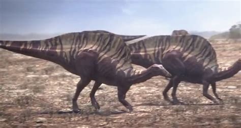 Ouranosaurus Pictures & Facts - The Dinosaur Database