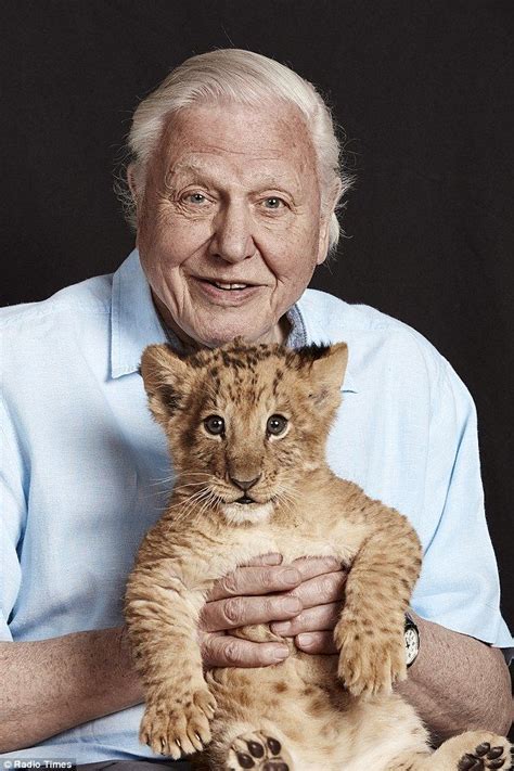 2016: David Attenborough poses with a lion cub for this week’s Radio ...