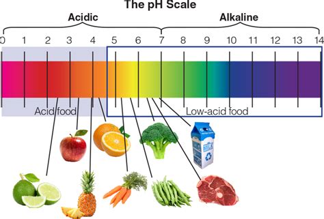 pH Measurement of Pickled Fruits and Vegetables - HORIBA